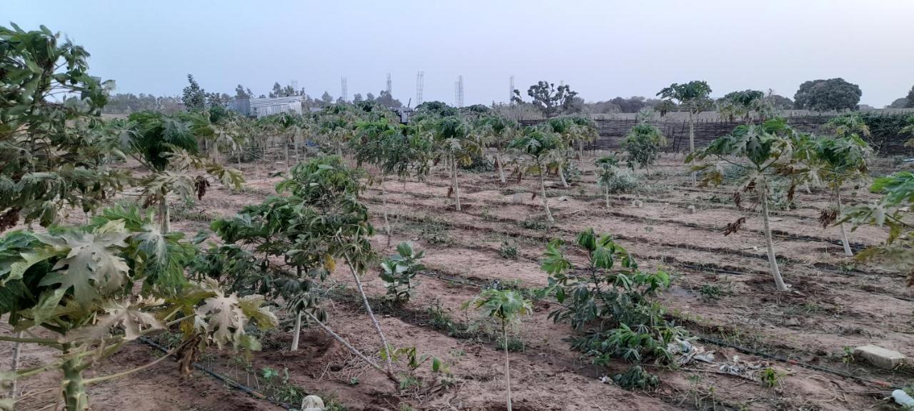 Saly Lrad Le Village Ngaring ภายนอก รูปภาพ
